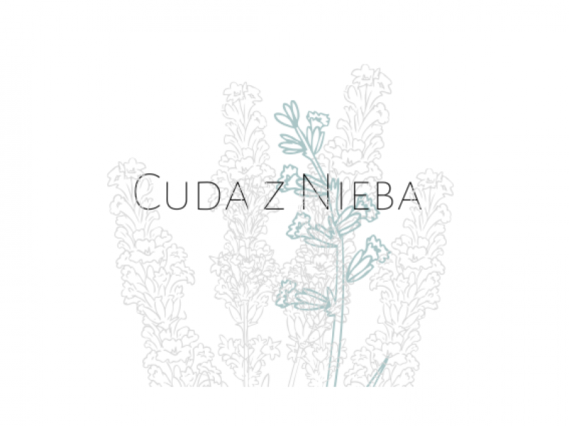 cuda-z-nieba zdjęcie prezentacji gdzie wesele