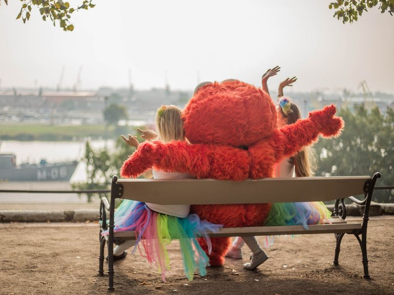 elmo-urodzinki zdjęcie prezentacji gdzie wesele
