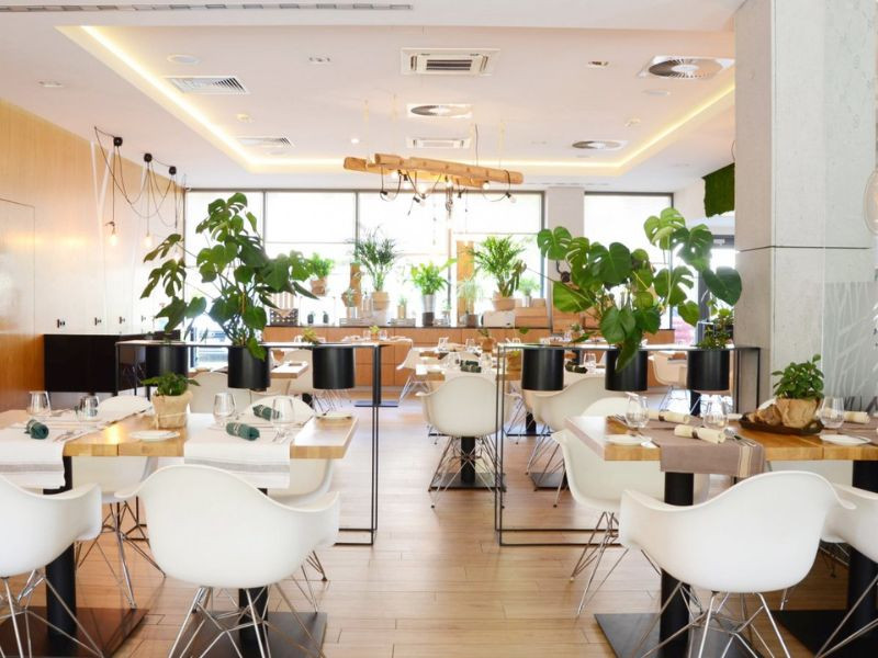 restauracja-menu-motto zdjęcie prezentacji gdzie wesele