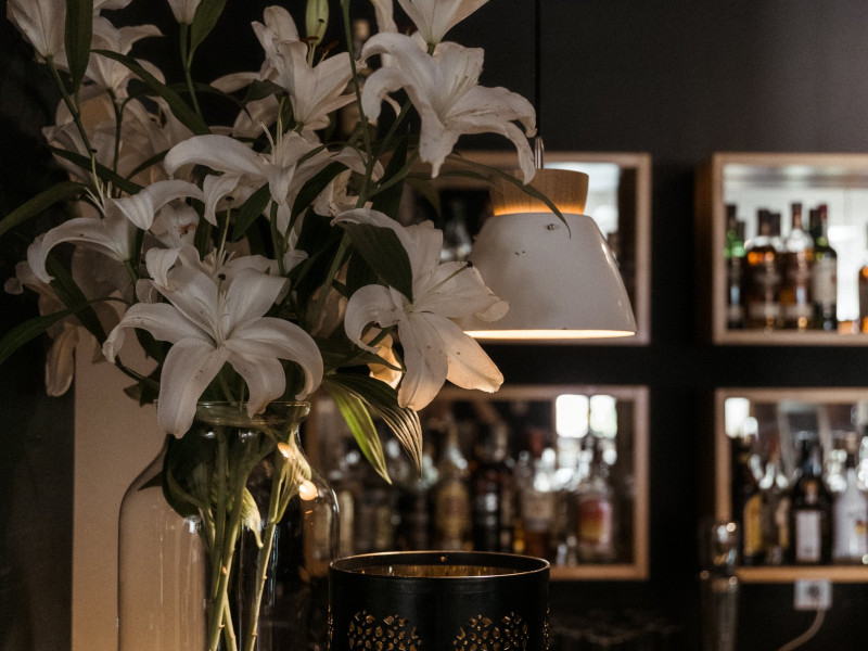 hotel-sasanka zdjęcie prezentacji gdzie wesele