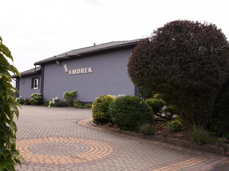 sala-weselna-amorek zdjęcie prezentacji gdzie wesele