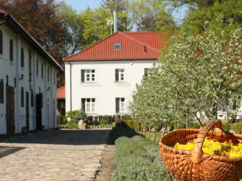 stary-mlyn-strzeszyn zdjęcie prezentacji gdzie wesele